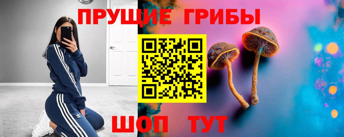Галлюциногенные грибы Cubensis Абакан